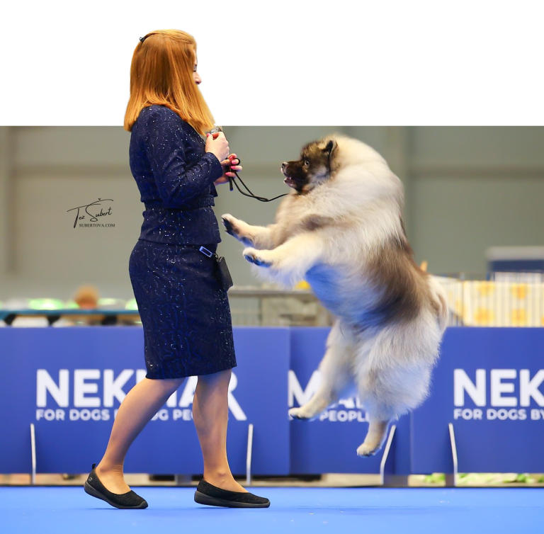 Anja handling
